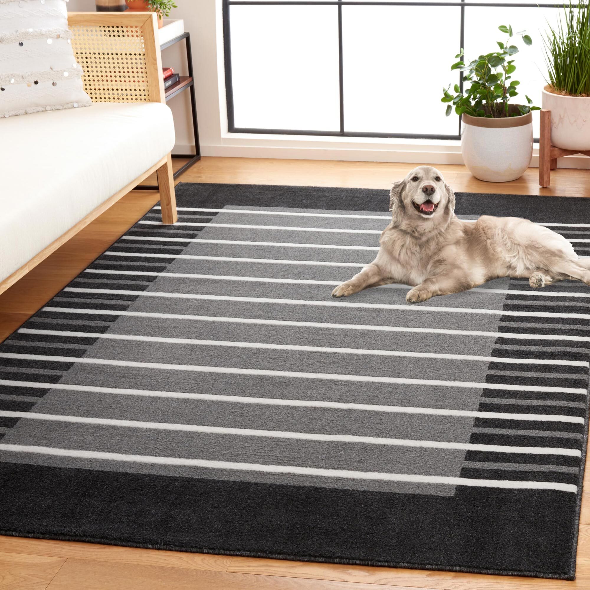 Alfa Modern Striped Border Rug