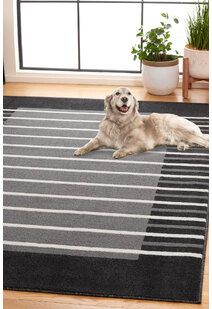 Alfa Modern Striped Border Rug