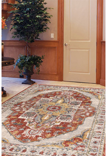 Cleo Traditional Medallion Rug