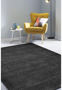 Leo Modern Thick Plain Black Rug