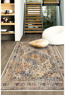 Lester Traditional Overdyed Rug