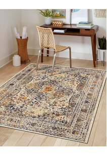 Lester Traditional Overdyed Rug