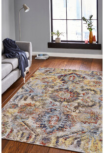 Lester Traditional Overdyed Rug