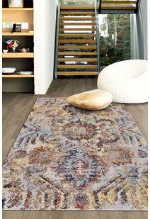 Lester Traditional Overdyed Rug