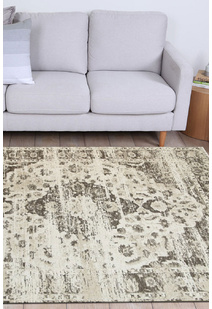 Ryan Transitional Medallion Rug